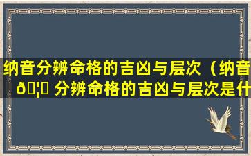 纳音分辨命格的吉凶与层次（纳音 🦄 分辨命格的吉凶与层次是什么）